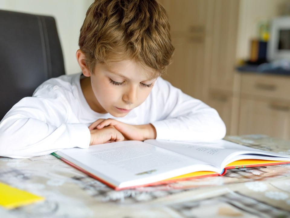    Фото: istockphoto.com/romrodinka