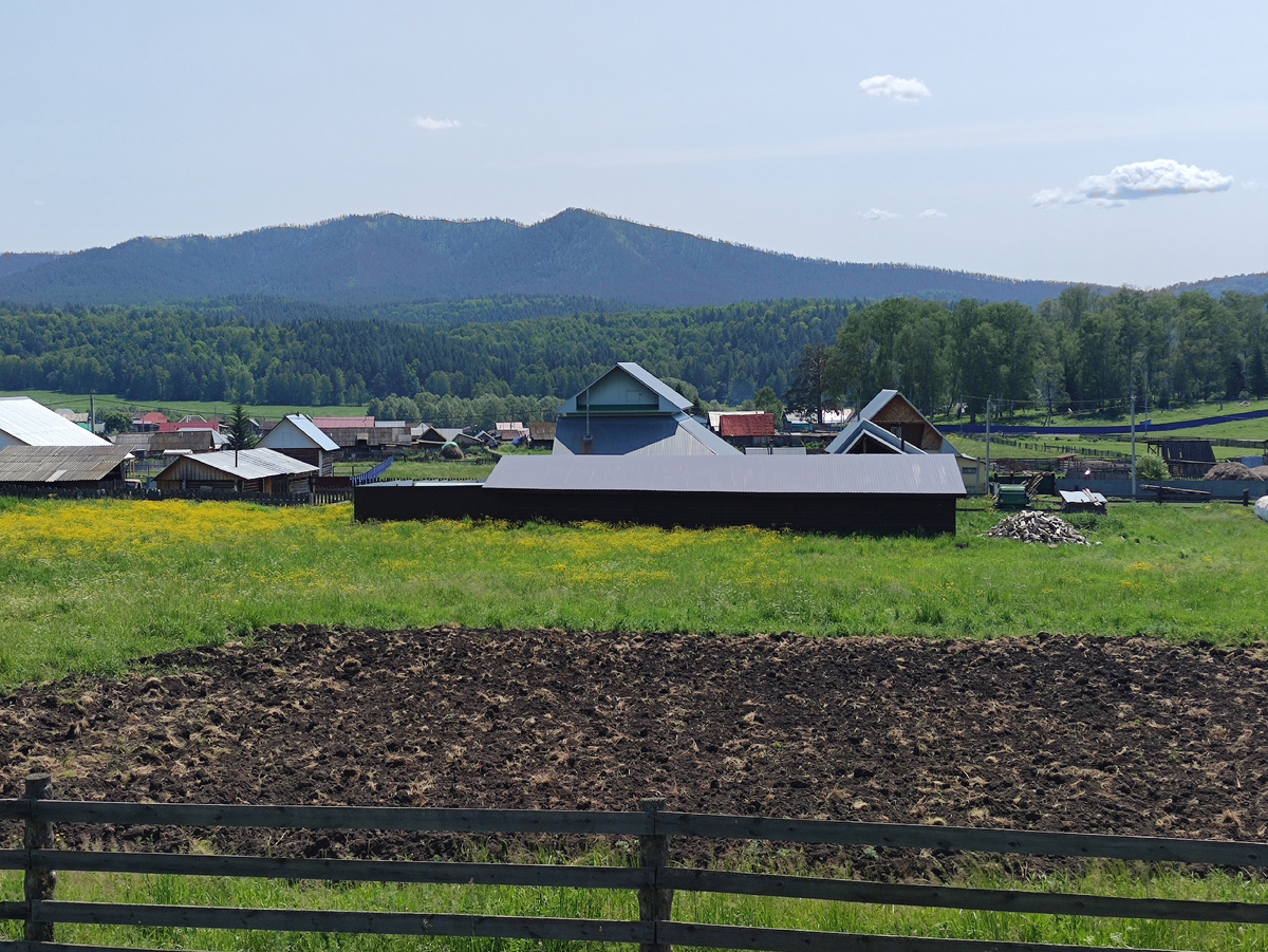 Почему у уральских староверов картофель лежит всю зиму, не гниет и не Почему у уральских староверов картофель лежит всю зиму, не гниет и не