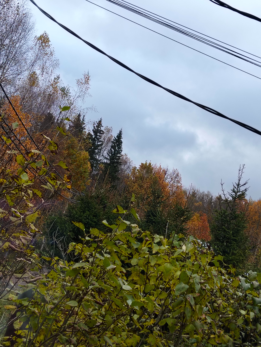 Фото автора.