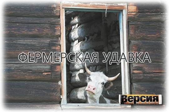   Фермерская удавка