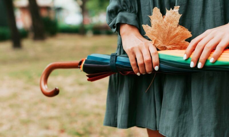    Фото freepik.com