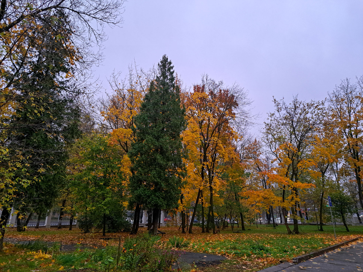 Переменчивая погода ожидает челябинцев в октябре.  Фото: Фото: ФедералПресс / Вера Романескул