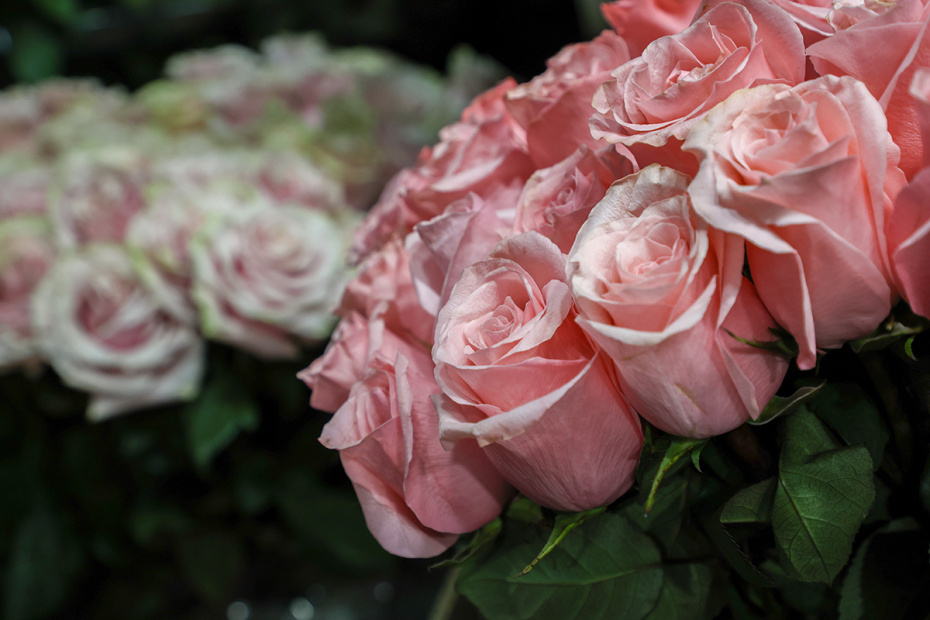    Алексей Белкин/NEWS.ru