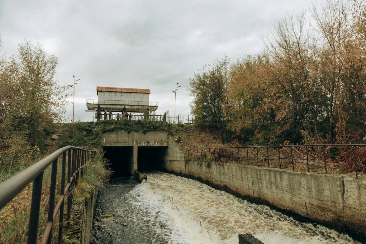     Фото: тг-канал Дмитрия Нисковских