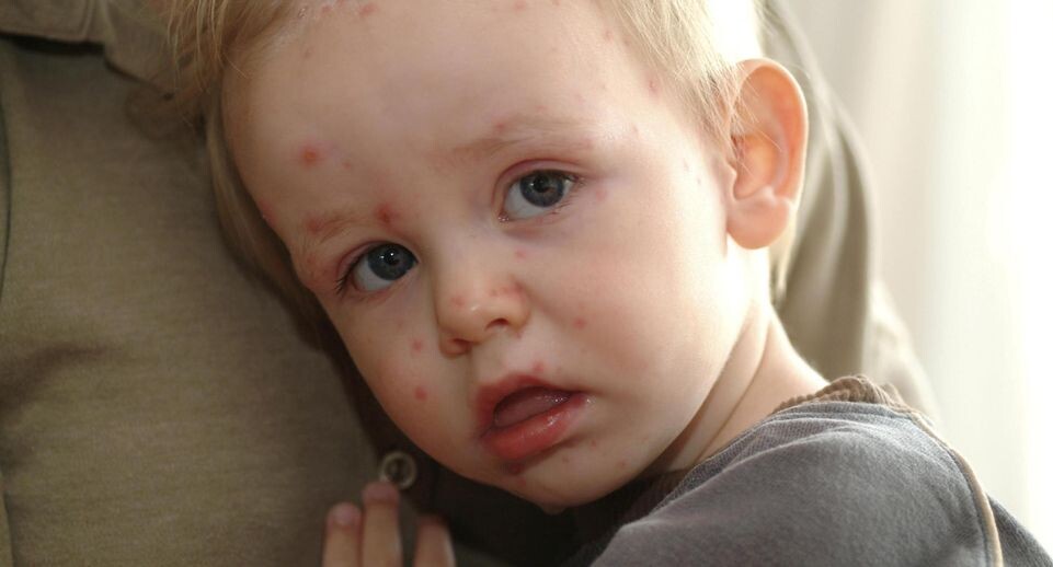    Ulrich Niehoff/imageBROKER.com / www.globallookpress.com