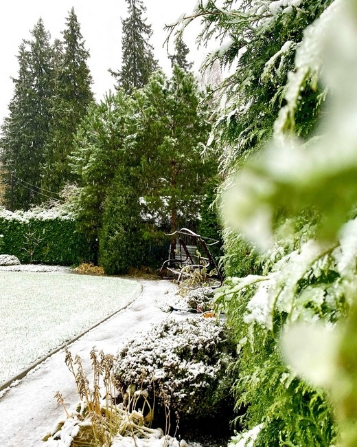  Фото: Елизавета Четверикова