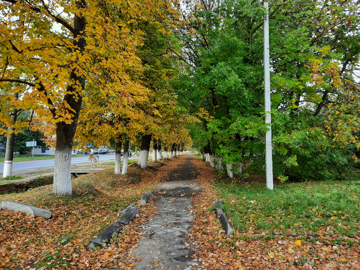 Сейчас нам очевидно, где жёлтый, а где зелёный)