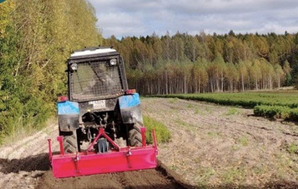    Подготовку почвы к весеннему сезону проводят в 11 питомниках Чувашии