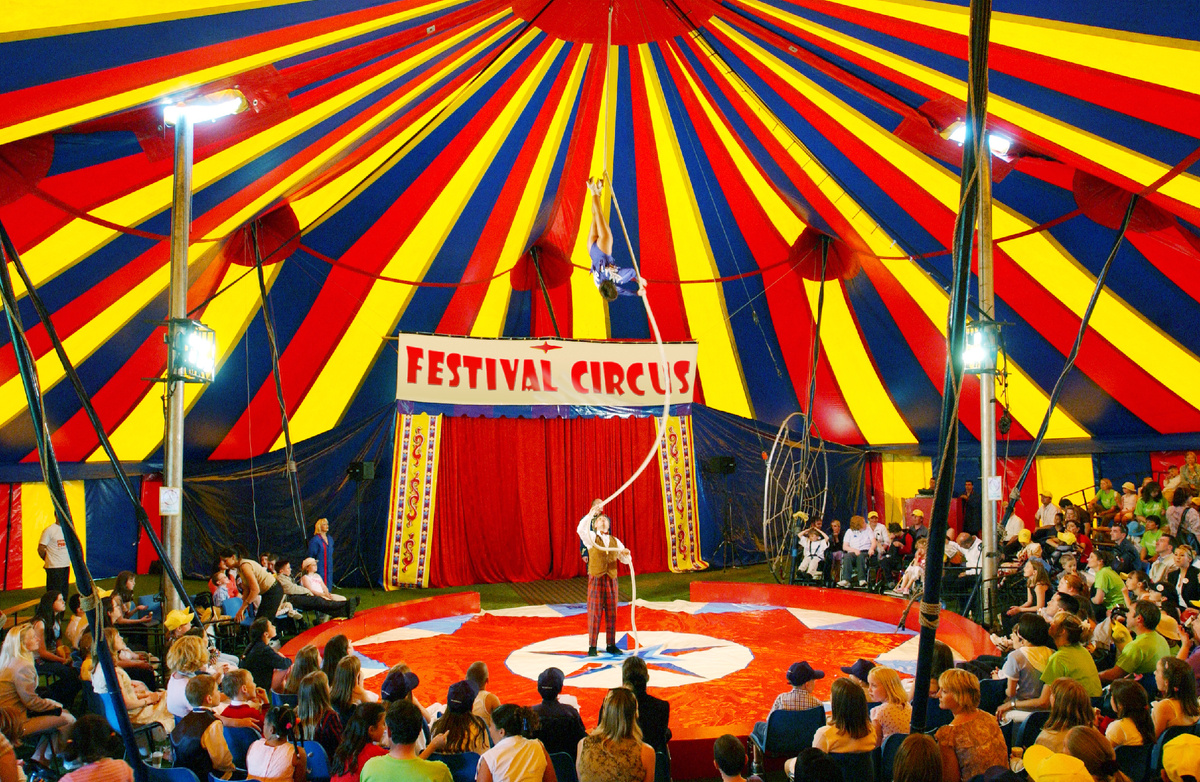 Цирк-шапито, фото отсюда petsreview.ru