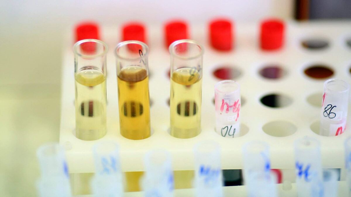    Фото: Кирилл Брага, источник: РИА Новости