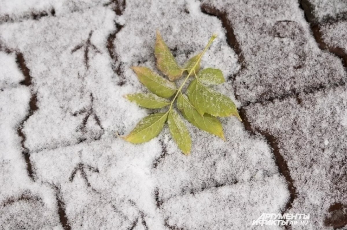    Стало известно, растает ли снег, выпавший в Удмуртии 13 октября