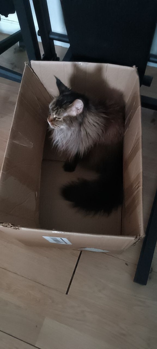 Ищу деда Лайна. Нету!