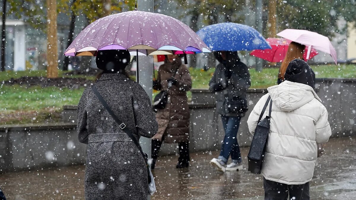   Александр Авилов / Агентство «Москва»- Архивное фото