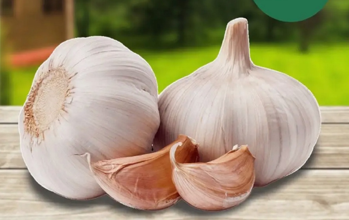 Как сохранить чеснок до нового урожая — три простых способа