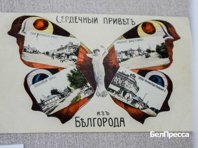 Фото: Арина Беседина