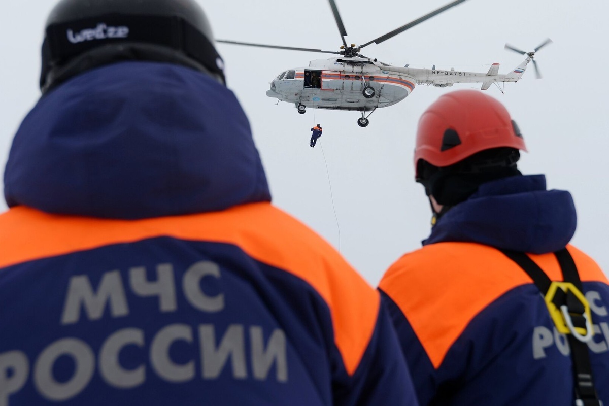    Фото: Максим Богодвид, источник: ria.ru