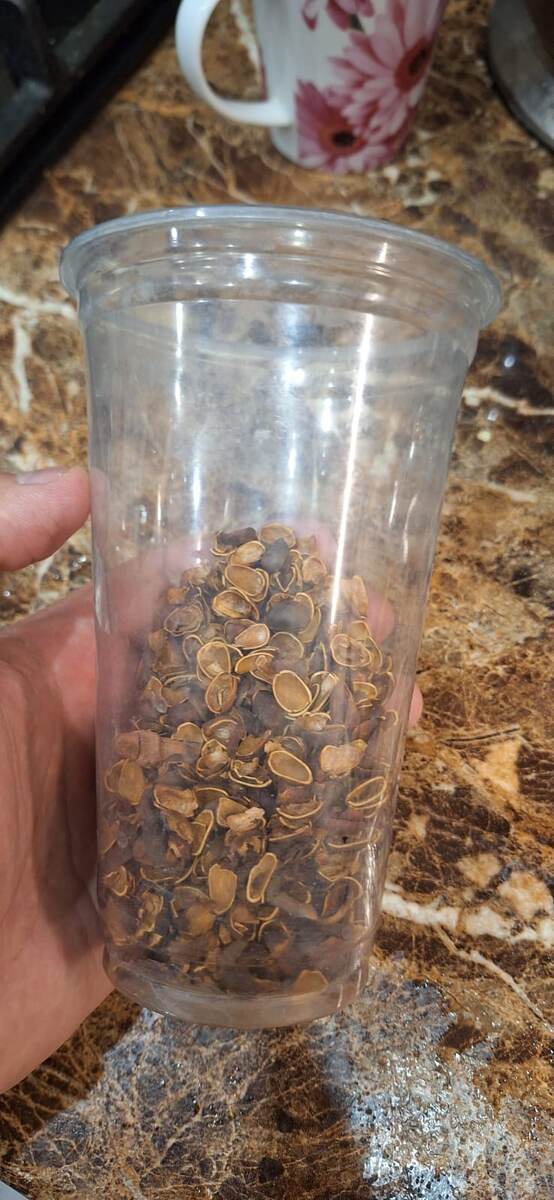 Вот так выглядят 50 гр