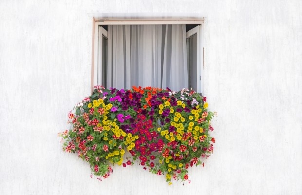 Источник фото shutterstock.com