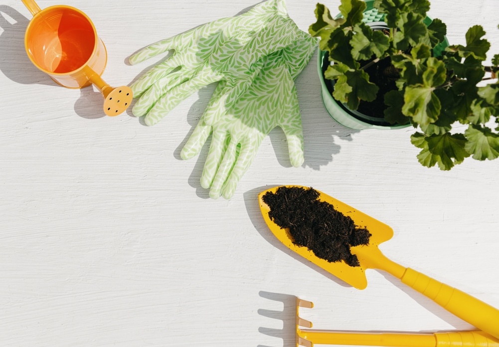 Источник фото shutterstock.com