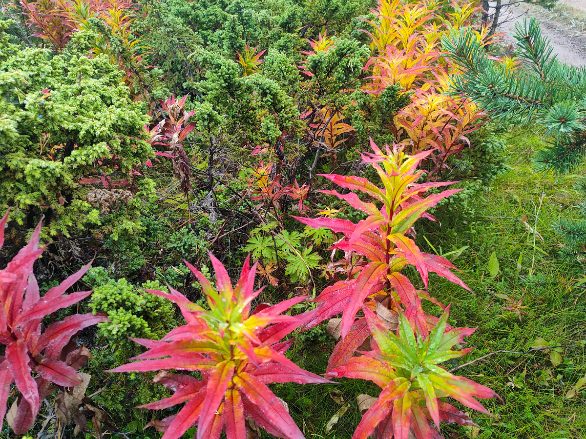 Яркие краски. А в реальности они еще красивее