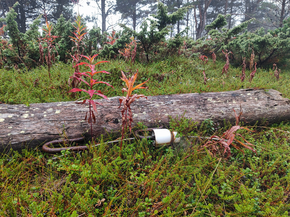 Здесь были люди