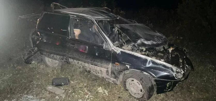 Фото: Госавтоинспекция Челябинской области