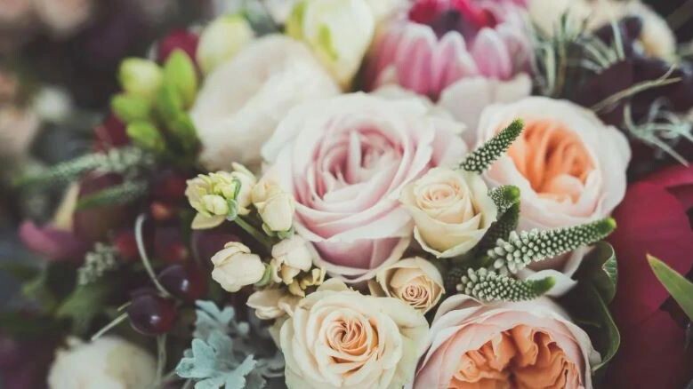    Фото: Skinfaxi/Shutterstock/Fotodom