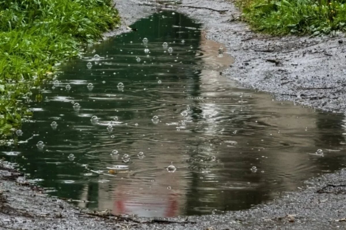    Из-за ливня псковские энергетики работают в режиме повышенной готовности