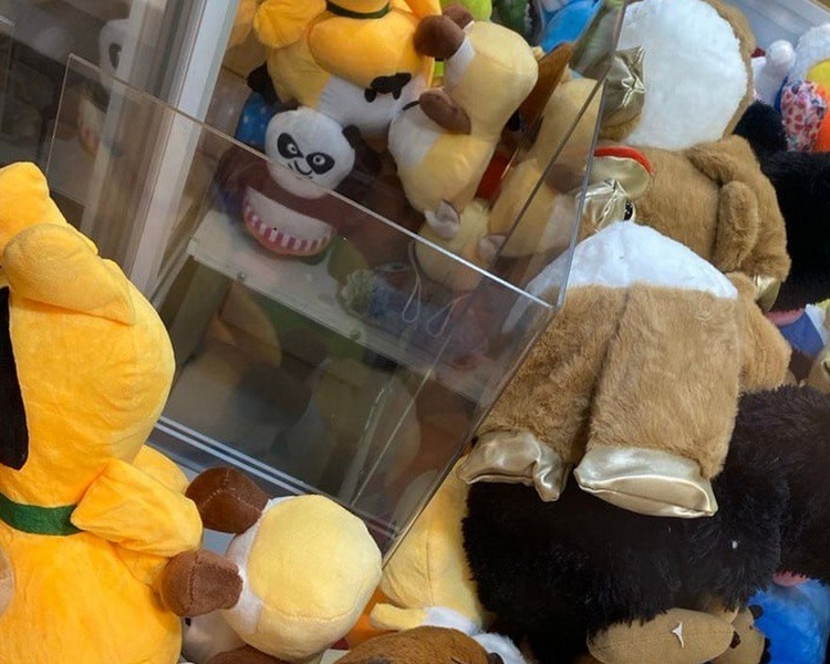     В Курской области женщина украла игрушки на 126 тысяч рублей