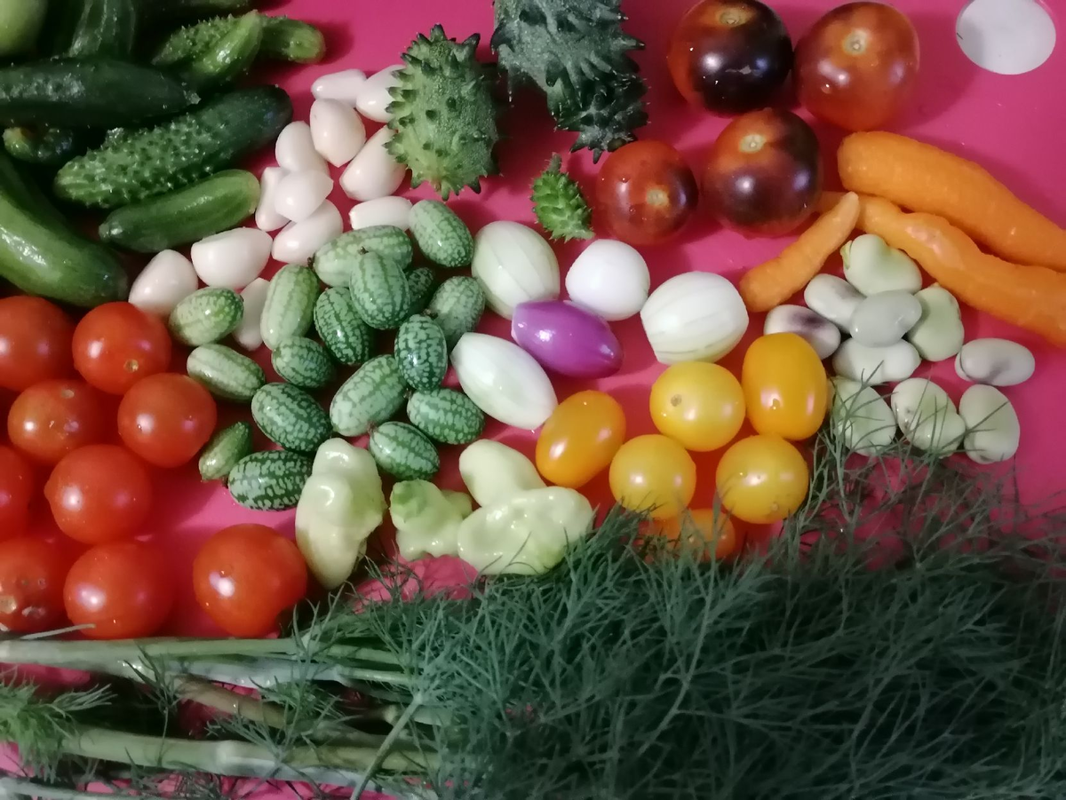 Мой набор для веселья в банках, фото автора