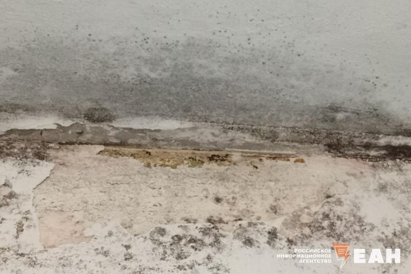    ЕАН. Черная плесень в екатеринбургской многоэтажке