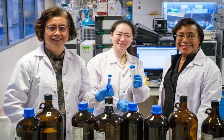    Фото: NTU Singapore