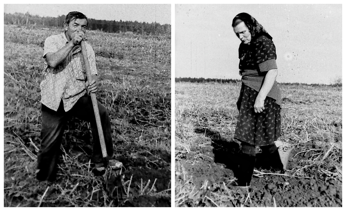 У моих родителей даже мысль не возникала отказаться от большого огорода. Фото середины 1980-ых из личного архива автора.