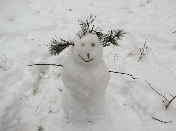 Яндекс Картинки.