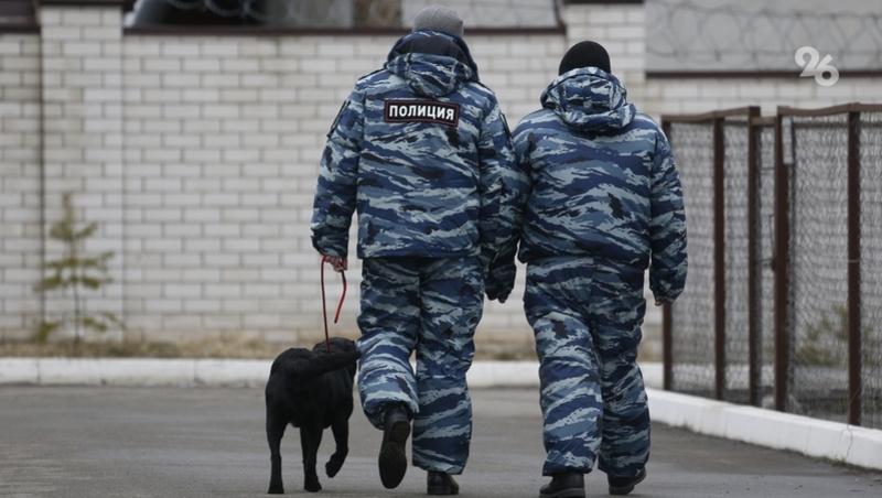      Фото: ИА «Победа26»