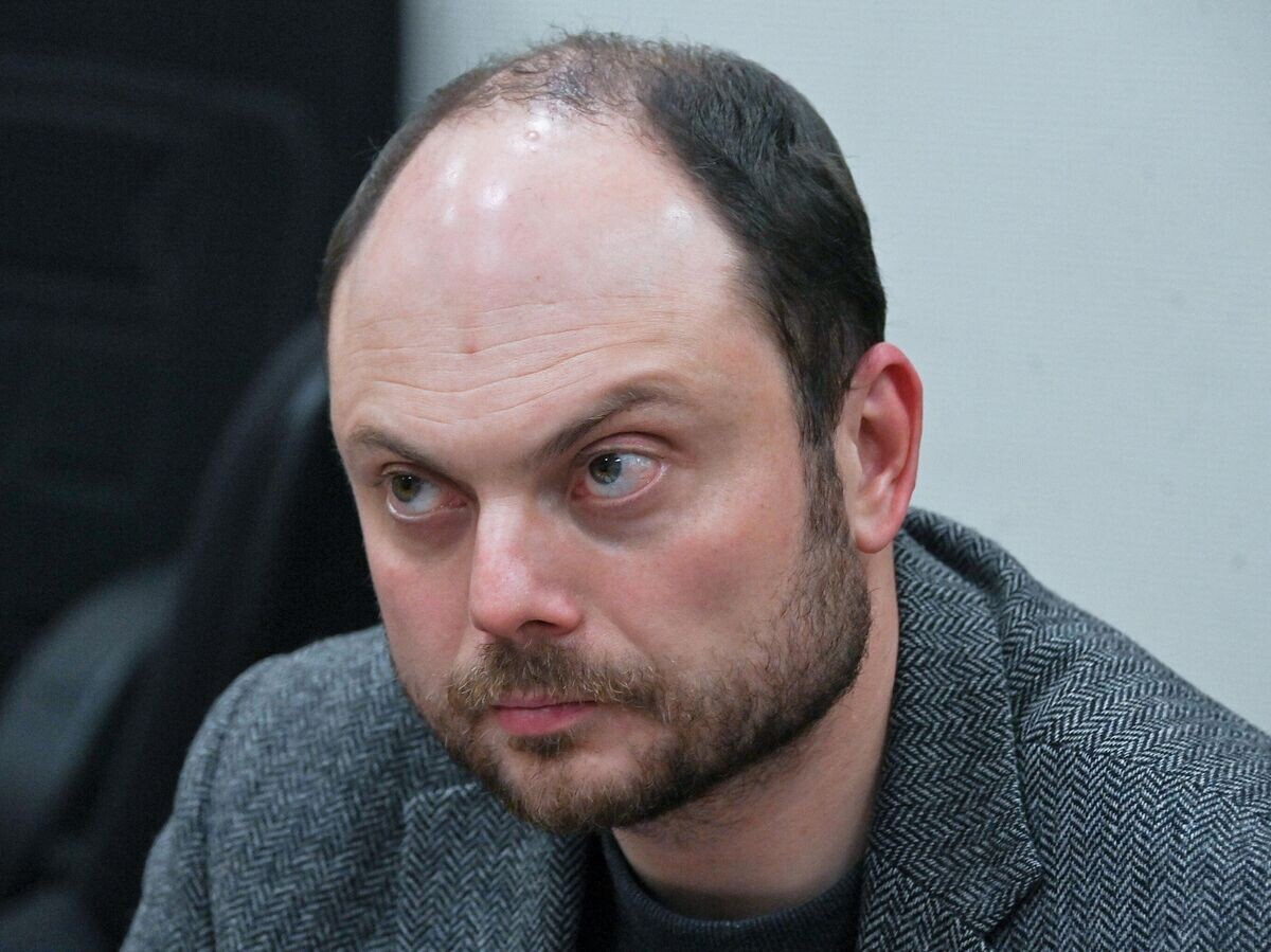    Владимир Кара-Мурза© РИА Новости / Евгений Одиноков