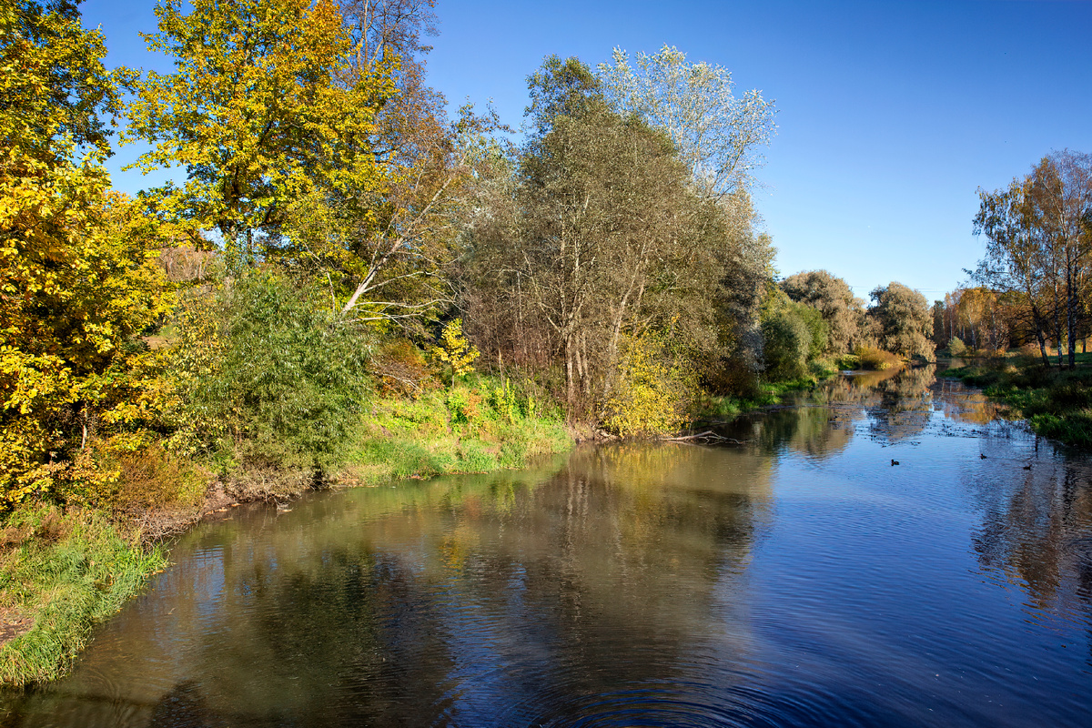 Мариентальский пруд