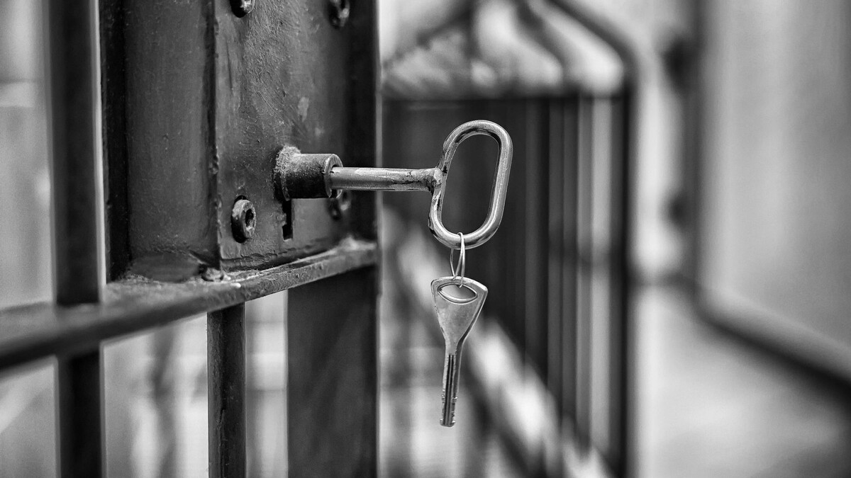    Фото: FotoDax/Shutterstock/Fotodom