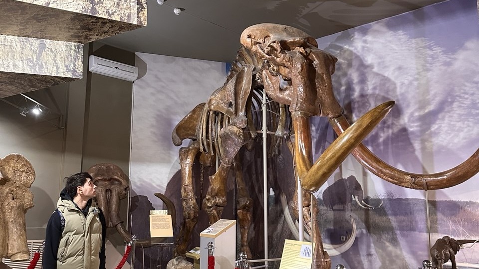 Азов. Один день в городе. Пеший маршрут