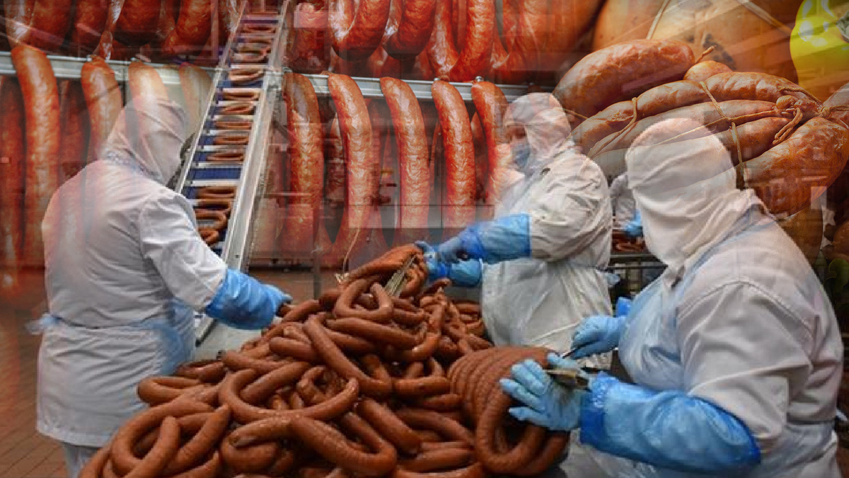 Фото: производство колбасы, коллаж - Российский Союз Инженеров