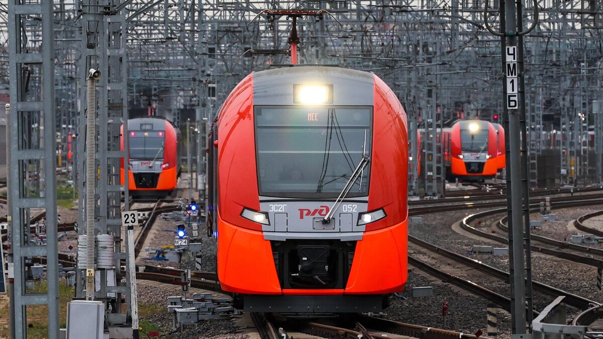    Фото: Belkin Alexey/globallookpress.com