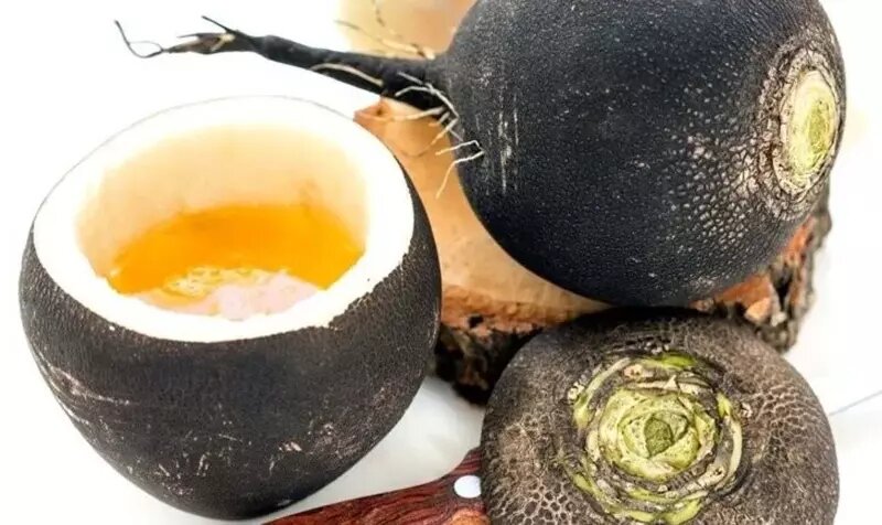 Чёрная редька в народной медицине