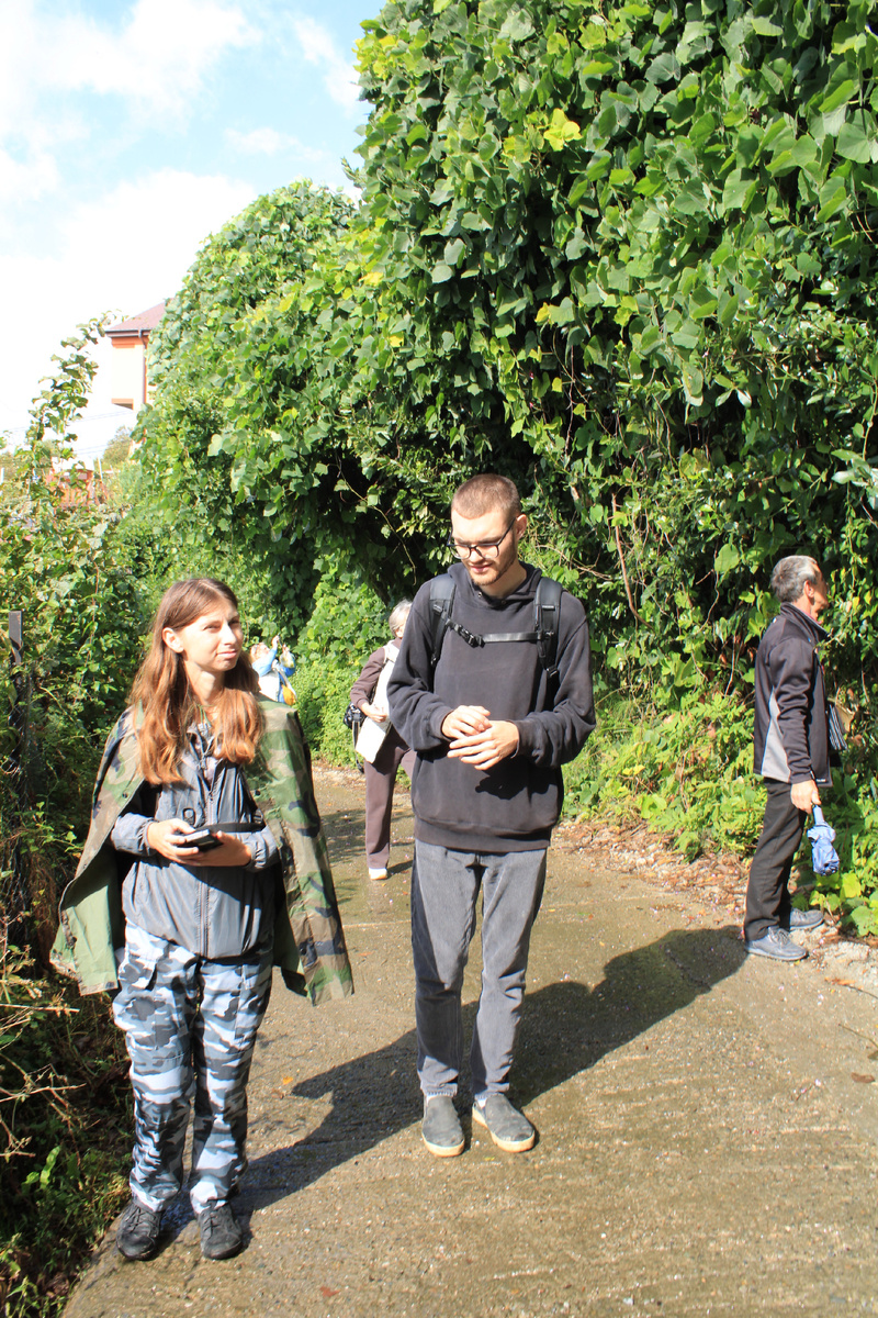 Заросли пуэрарии создают шикарный субтропический фон