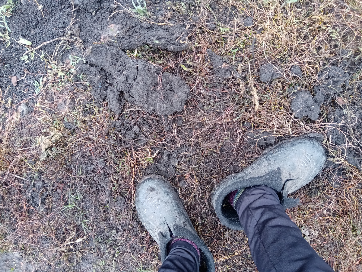 галоши мне нашли))