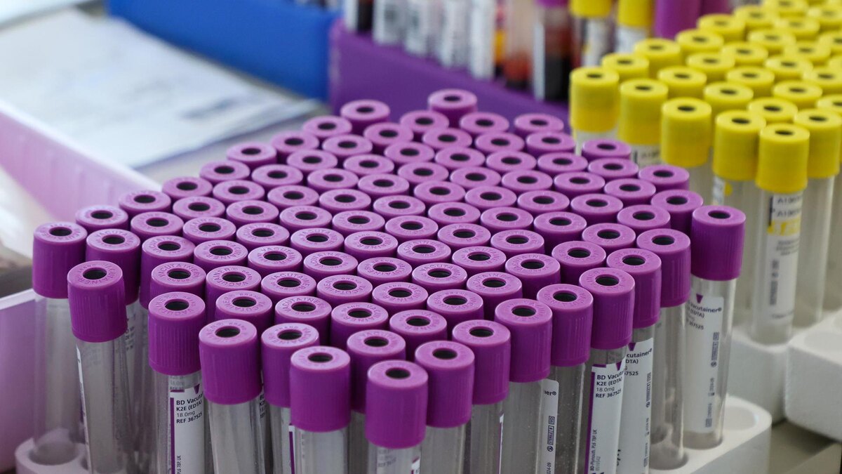 Фото: Petrov Sergey/globallookpress.com