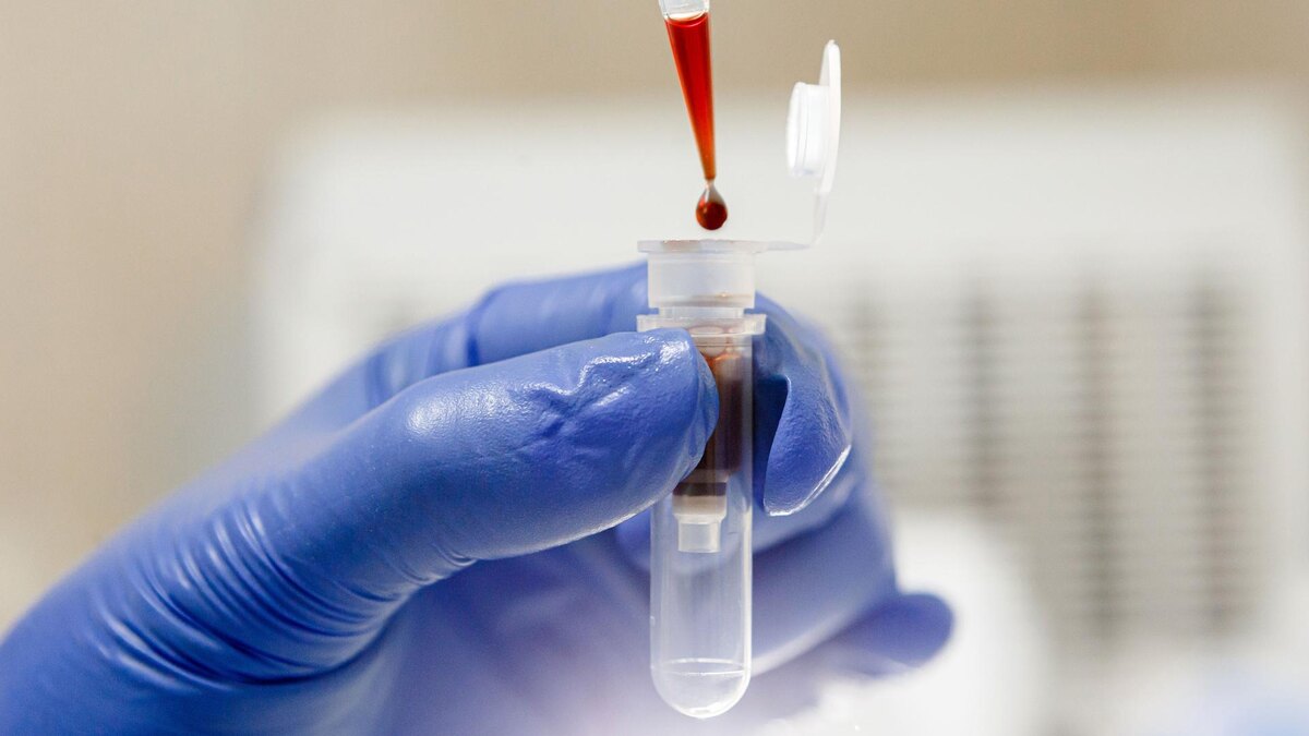 Фото: Serhii Hudakukrinform/globallookpress.com