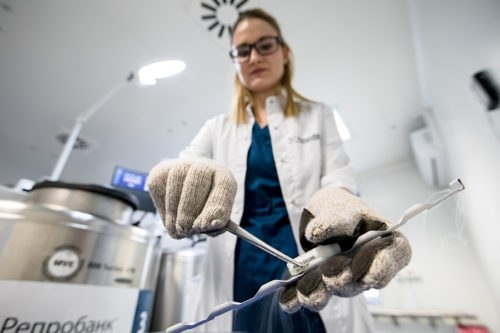 
Сперматозоиды переносят криоконсервацию лучше, чем другие типы клеток, за счет двух особенностей: