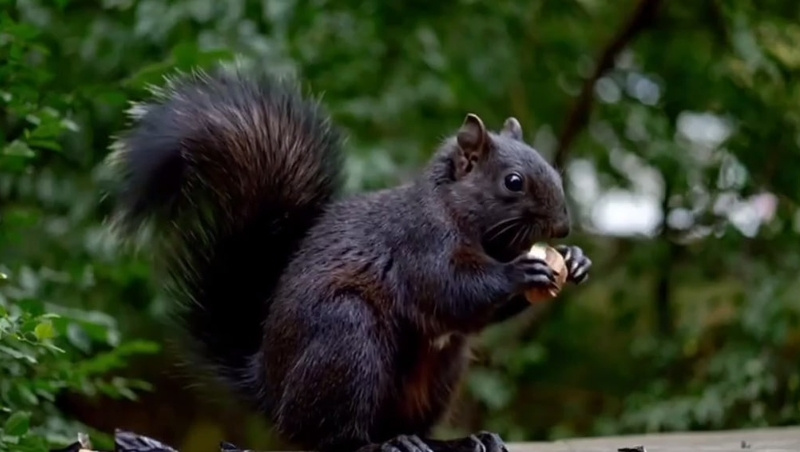      Фото: Кадр из видео / соцсети главы Железноводска Евгения Бакулина