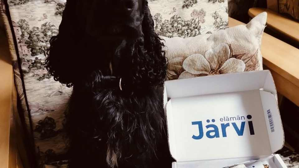 Обзор подарочных наборов от Jarvi