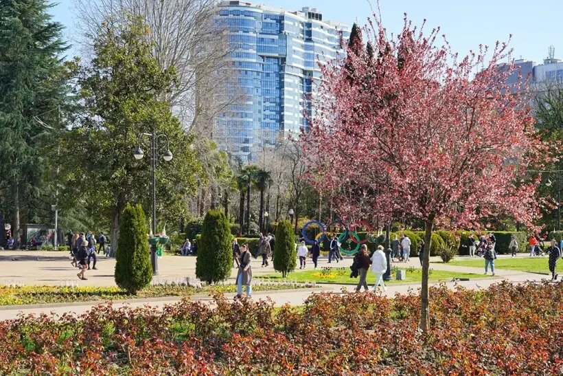     © Пресс-служба администрации Сочи. Денис Тарута